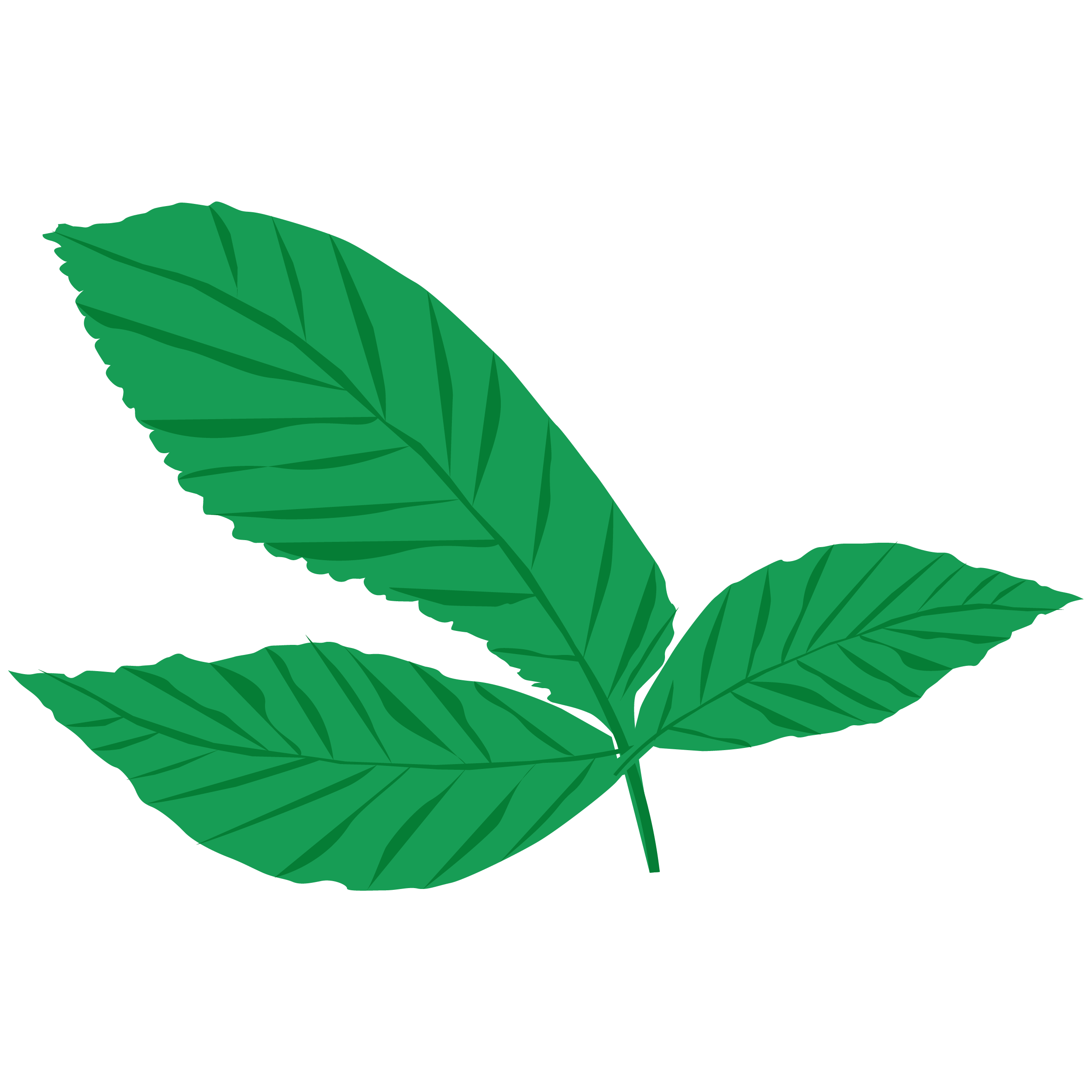 Mint Extract
