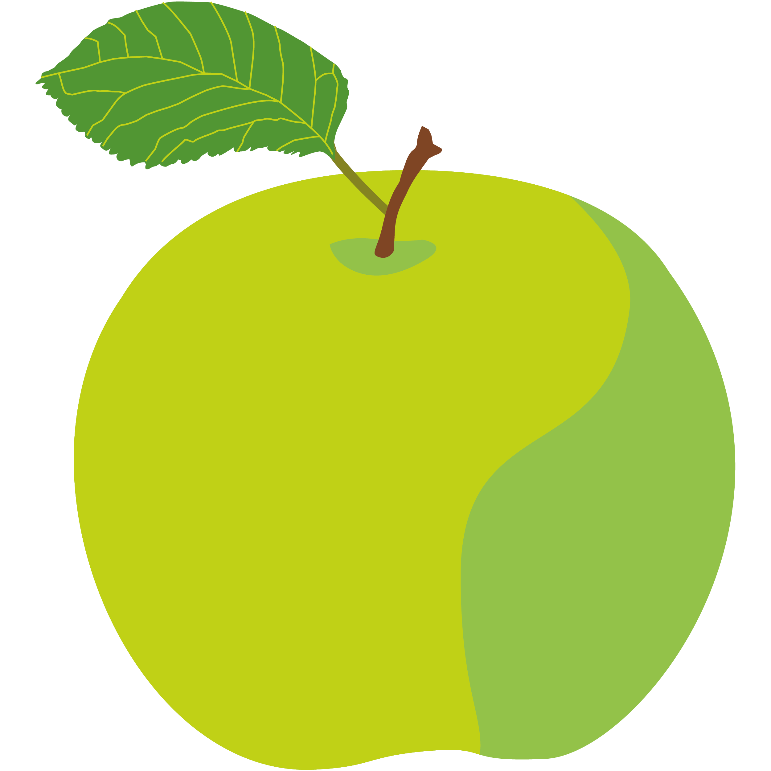Organic Apple Water