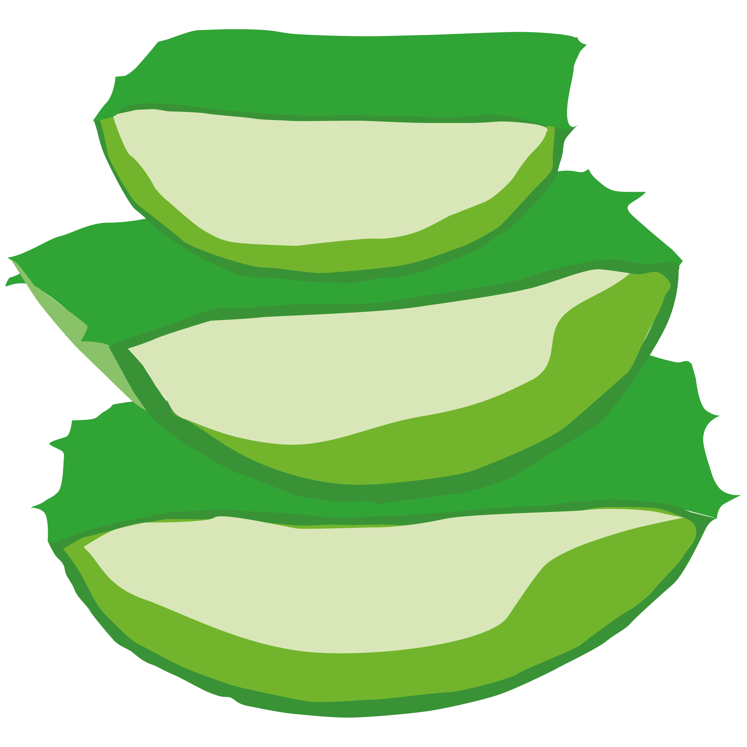 Organic Aloe Vera