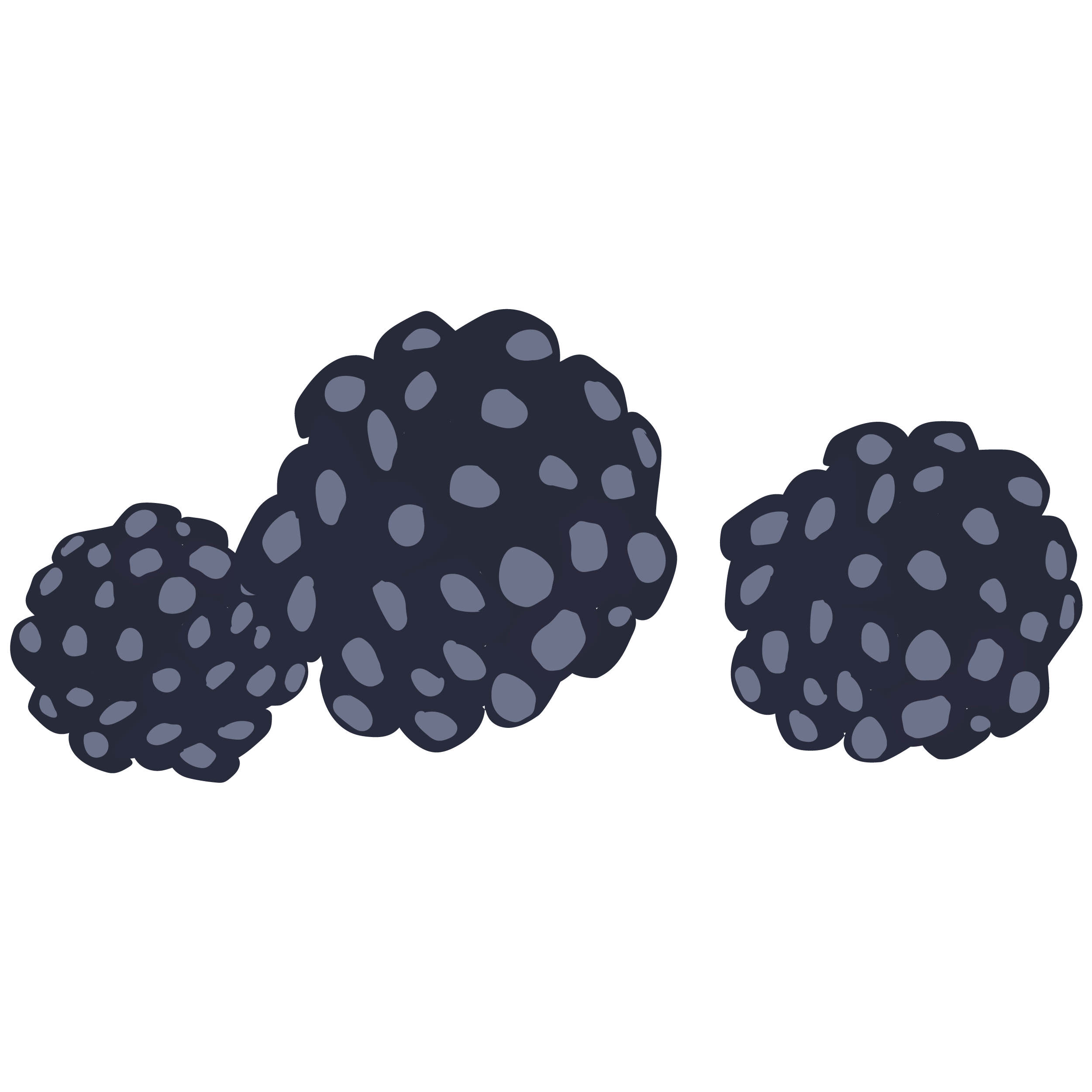 Organic Blackberry Extract
