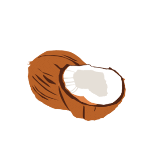 Organic Coconut Oil