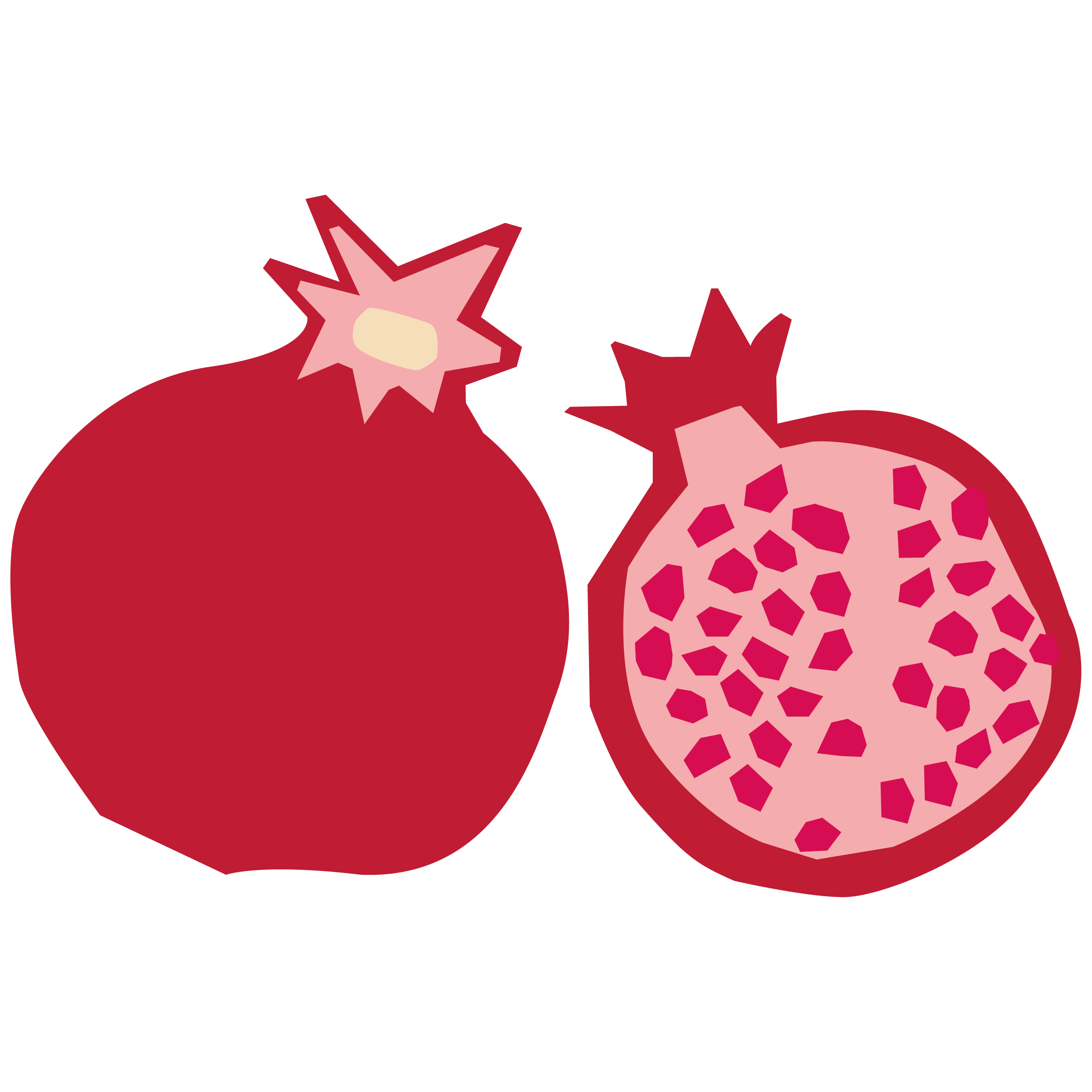 Pomegranate Extract