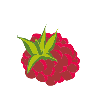 Raspberry