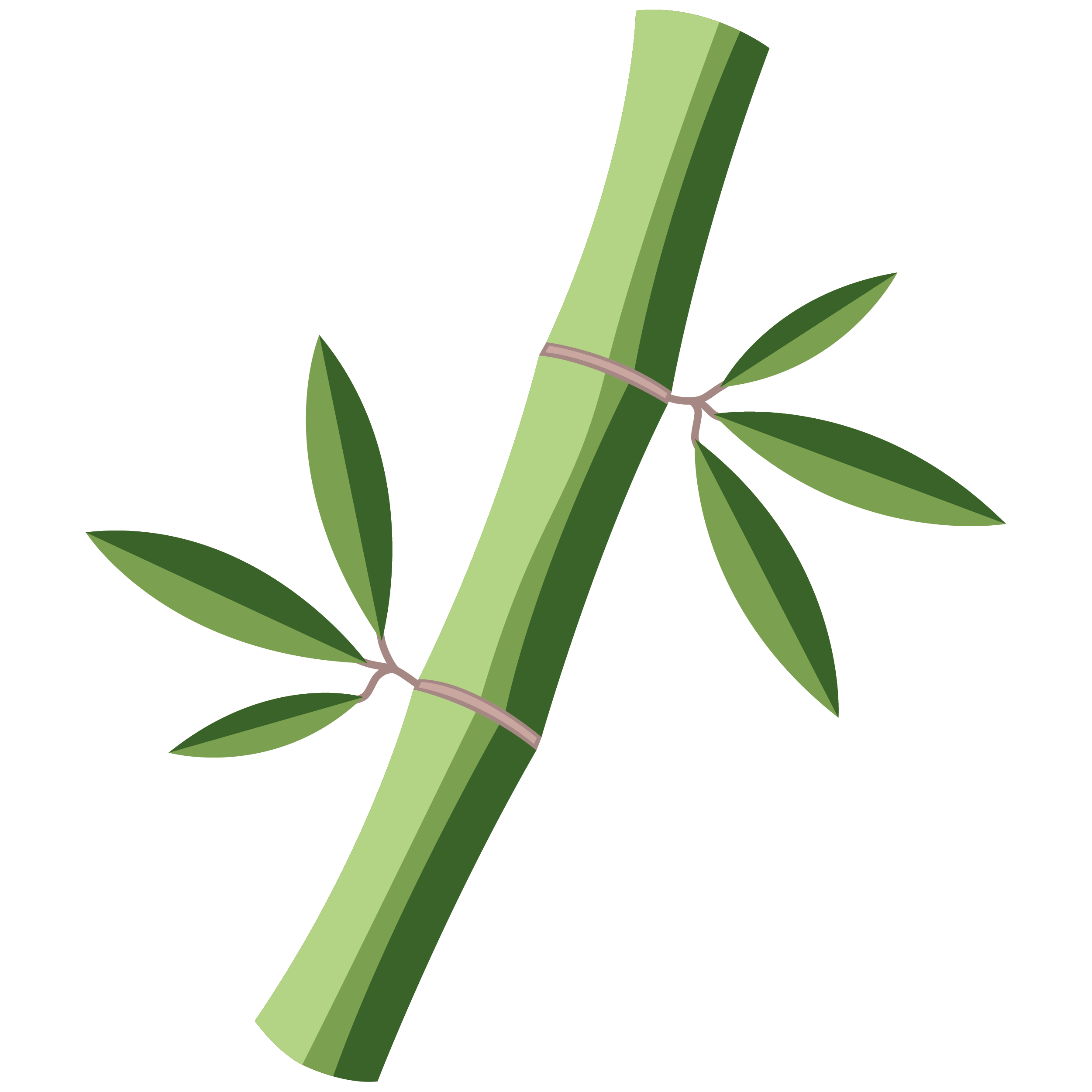 Bamboo Extract