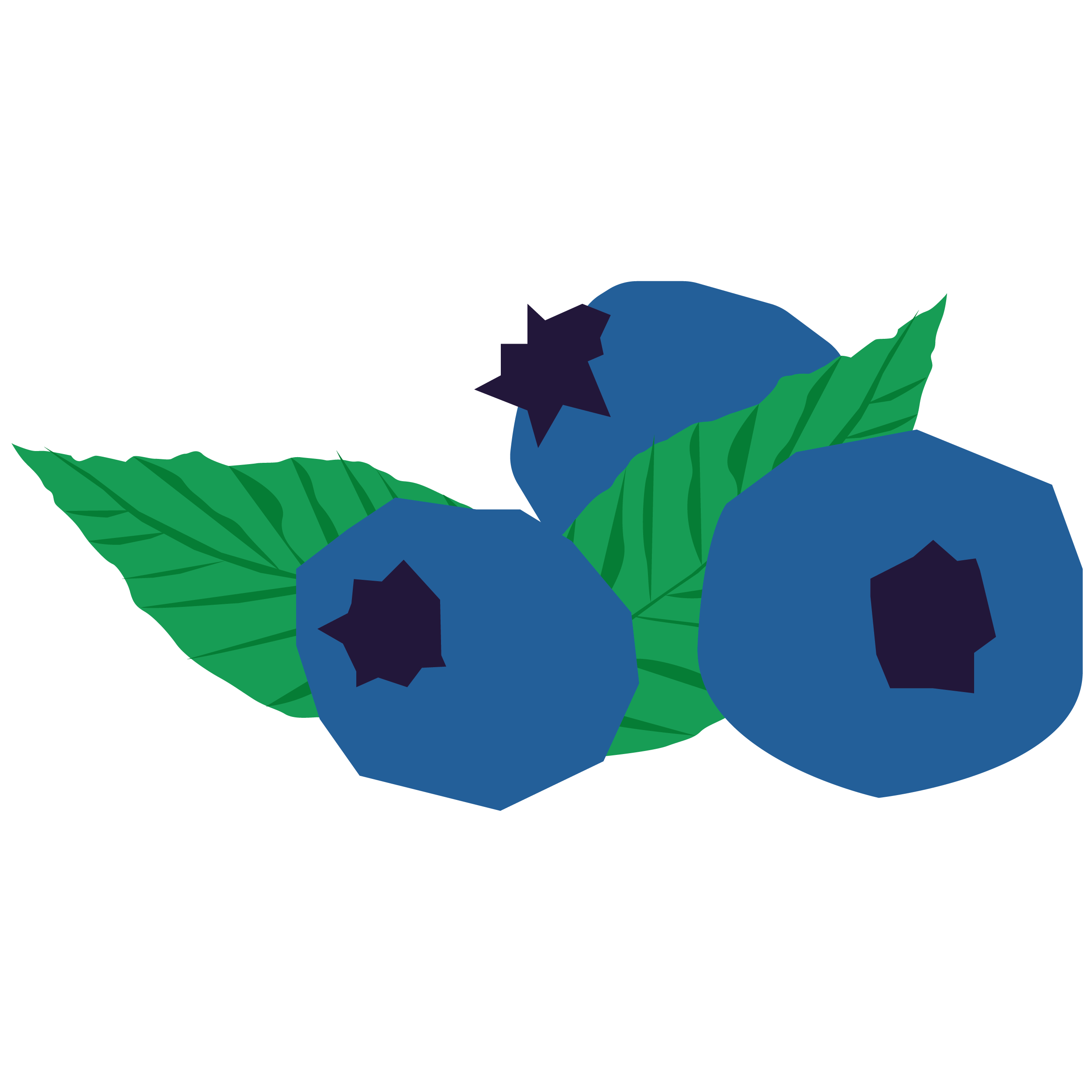Apple Extract